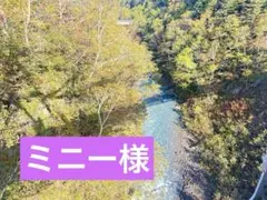専用出品