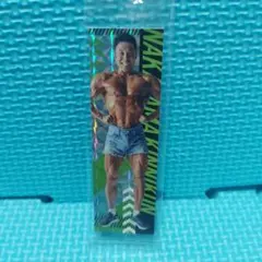 なかやまきんに君 キラキラシールのサムネイル