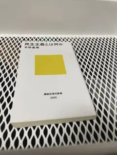 宇野重規　民主主義とは何か