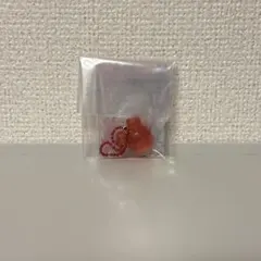 TWICE LOVELYS グミ＆チャーム チェンブリー