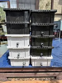 NVボックス 13 メダカ水槽 12個セット 中古 オーバーフロー加工済み