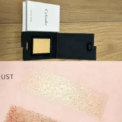 セルヴォーク♡新品♡ヴァティックアイズ 21