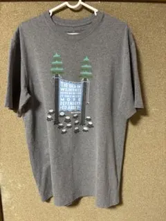 patagonia パタゴニア WornWear Ｔシャツ メンズ S