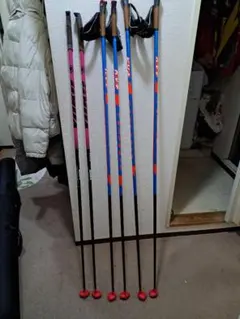 クロカンスキーポール 140cm（中古） OUTLET】トラバーススキーポール(140cm オクタン): アウトレット