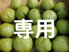 ヒマさま専用　青トマト　資材込み20キロ