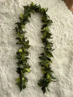 フラダンス、マイレイ