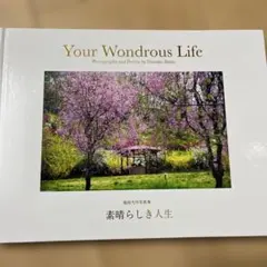 theory1様 リクエスト 2点 まとめ商品