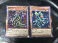 遊戯王　捕食植物オフリススコーピオ　捕食植物ダーリングコブラ