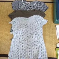 レディース 半袖Tシャツ 3点セット　サイズM
