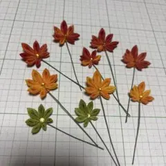 紅葉セット1