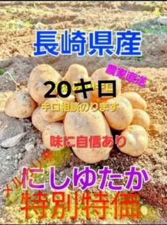 ヌコ様限定〗市場に出回らない極上のホクホクじゃが！ヘルシー 