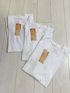 新品ヒートウォームストレッチ４Ｌ３枚セット