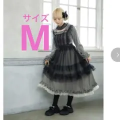 【新品未使用】星名桜子 エプロン 4L 白 ギンガムワンピ橙 4L セット 2025年最新】星名 エプロンの人気アイテム - メルカリ