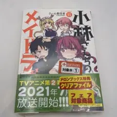 新品未開封シュリンク付き送料込み小林さんちのメイドラゴン 11