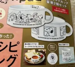SNOOPY 磁器製マグカップ2個セット