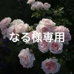 なる様専用のサムネイル