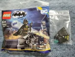 Item thumbnail for item 1c331b94-81dc-4853-ab3e-19f6b701d383