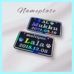 Item thumbnail for item 1591e664-ae26-4caf-a830-e180569b524f