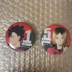 ハイキュー　トレーディング缶バッジ　共闘