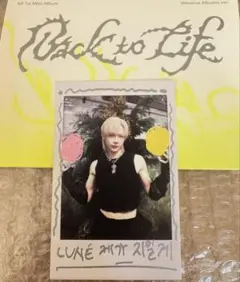 &TEAM ニコラス グローバル インスタントフォト