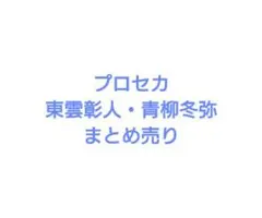プロセカ 東雲彰人 青柳冬弥 まとめ売り