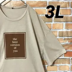 No Bland 半袖 Tシャツ カットソー 柔らか 薄め ビッグプリント