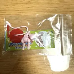 ポケモンチョコエッグ♡シークレット