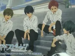 映画 ハイ☆スピード!-Free! Starting Days- ステッカー