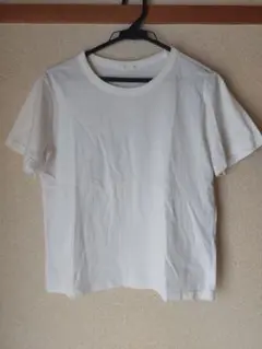 ホワイトtシャツ 半袖
