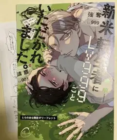 特典のみ：とらのあな特典 新米転生者にLv999ごといただかれました。 喃喃