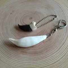 熊牙キーホルダー（ 約８cm ）　ヒグマの牙　ヒグマ　羆　　魔除け　災難除け メルカリ