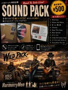 【手作り品】インディーズバンド　ハモリーメン SOUND PACK 10曲入り