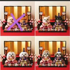 Item thumbnail for item 6345075a-d369-4411-bec4-52ed6288a76c