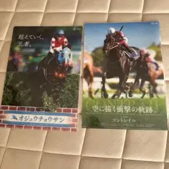 オジュウチョウサンとコンテレイル クリアファイル 2枚セット　競馬
