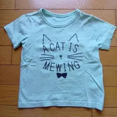 GITA 猫プリント 半袖Tシャツ ミントグリーン