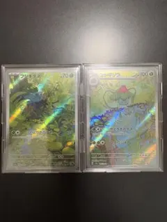 ポケモンカード フシギダネ フシギソウ ARセット