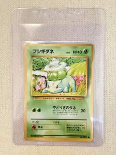 フシギダネ 旧裏 拡張シート第1弾 青版 ポケモンカード ポケモン