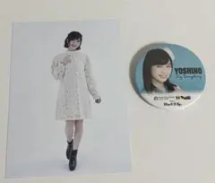 Item thumbnail for item 2b57bf32-919a-452b-9aa3-a736d107e670