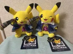 特別企画展「ポケモン天文台」 ほしぞらピカチュウ 2点 ぬいぐるみ