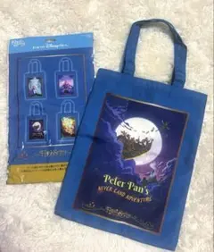 新品未使用　ディズニー ファンタジースプリングス ピーターパン ロストキッズ