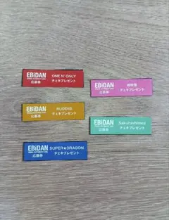 EBiDANVisual Dictionary 2026 チェキ応募券