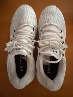 Item thumbnail for item 5200a460-fd38-4a0a-a824-970cebe84236