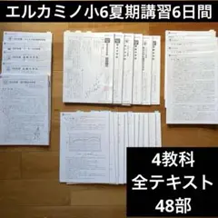 【中学受験】エルカミノ小6夏期講習4教科6日間テキスト48部 2026年最新】エルカミノ 国語の人気アイテム - メルカリ