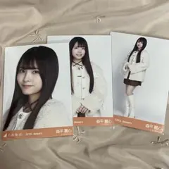 森平麗心 アイドル