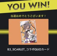 karikari様 リクエスト 3点 まとめ商品 - メルカリ