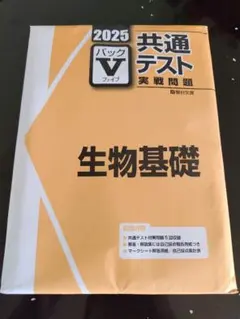 2026年最新】実戦問題 Vの人気アイテム - メルカリ
