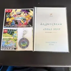 ポケモンZA Switch2 Edition 特典未開封