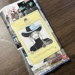 矢沢あい ツインウエハース ご近所物語 C-9