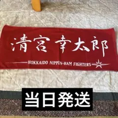 横浜高校 甲子園 応援 タオル スリム メガホン 渡辺元智監督 マフラー