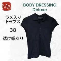 BODY DRESSING Deluxe ラメ入り 透け感 半袖 トップス 38のサムネイル